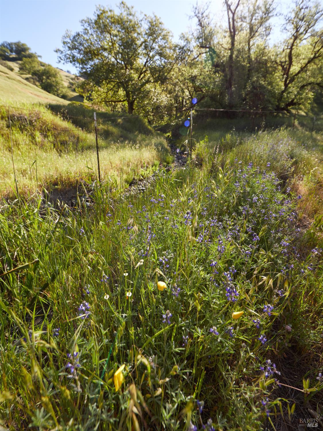 Detail Gallery Image 4 of 22 For 10850 Tomki Rd, Redwood Valley,  CA 95470 - – Beds | – Baths