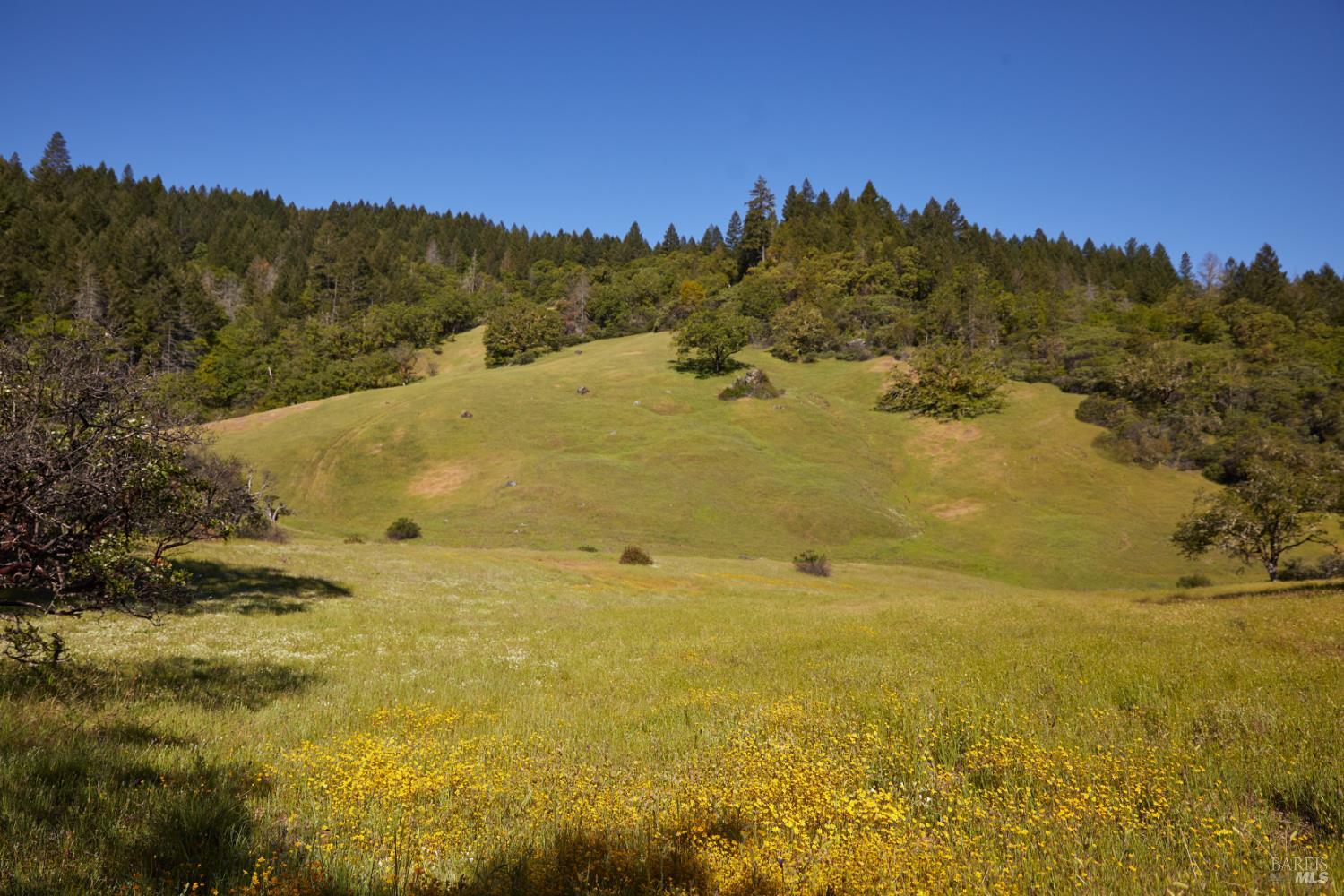 Detail Gallery Image 7 of 22 For 10850 Tomki Rd, Redwood Valley,  CA 95470 - – Beds | – Baths