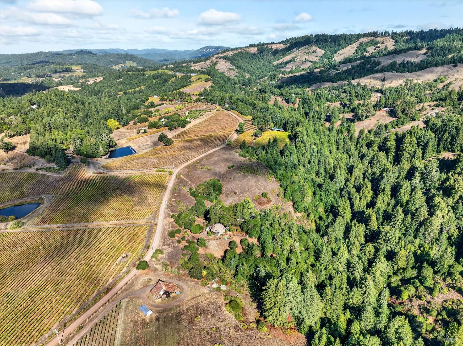 Detail Gallery Image 4 of 57 For 2333 Guntley Rd, Philo,  CA 95466 - 4 Beds | 2 Baths