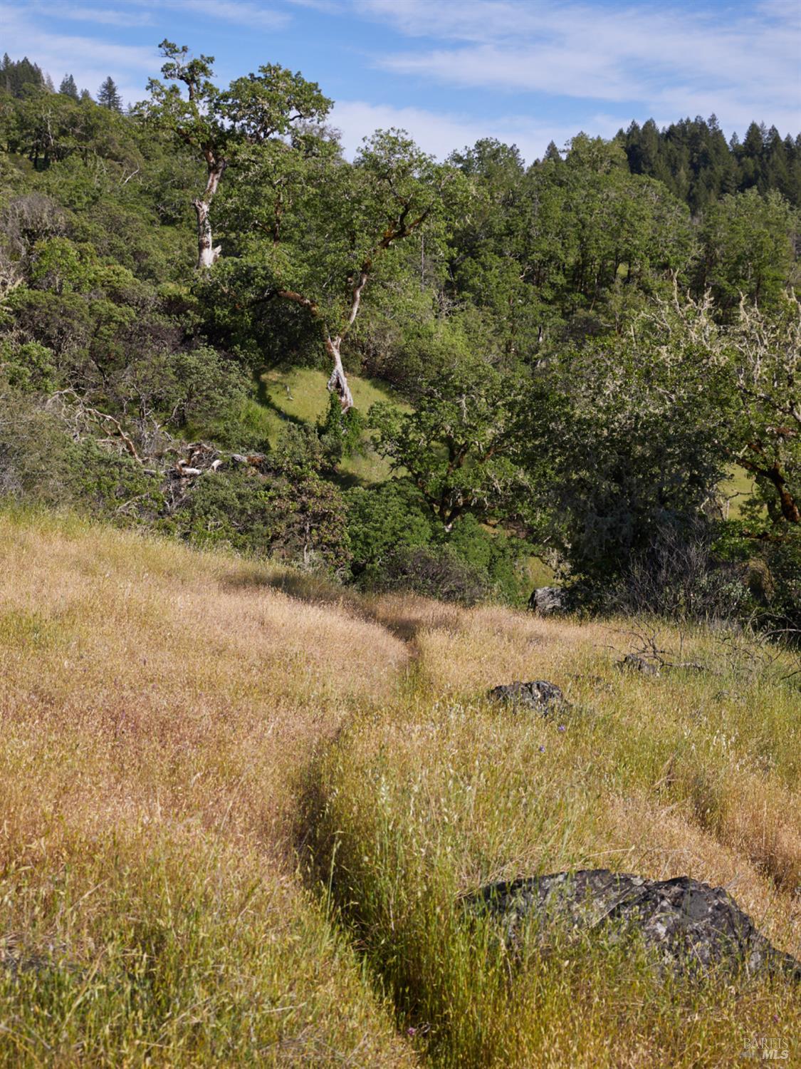 Detail Gallery Image 16 of 22 For 10850 Tomki Rd, Redwood Valley,  CA 95470 - – Beds | – Baths