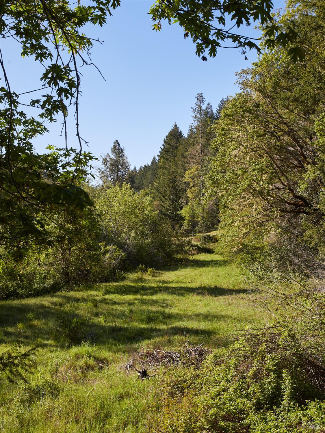 Detail Gallery Image 6 of 22 For 10850 Tomki Rd, Redwood Valley,  CA 95470 - – Beds | – Baths