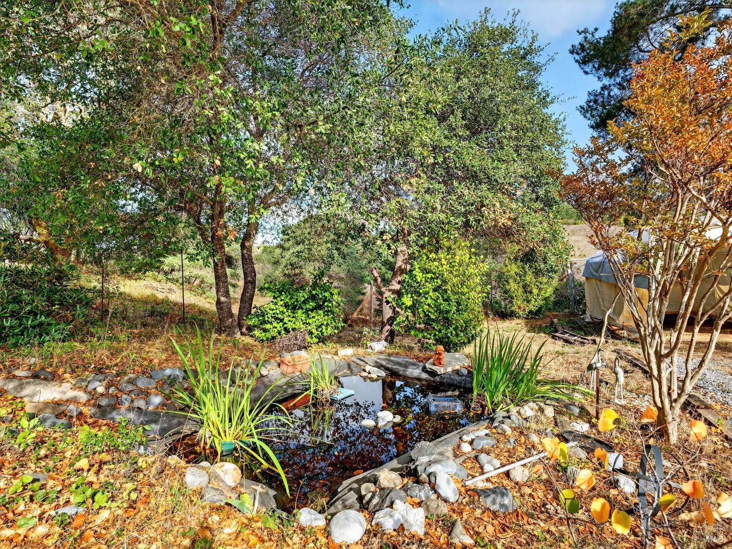 Detail Gallery Image 44 of 57 For 2333 Guntley Rd, Philo,  CA 95466 - 4 Beds | 2 Baths