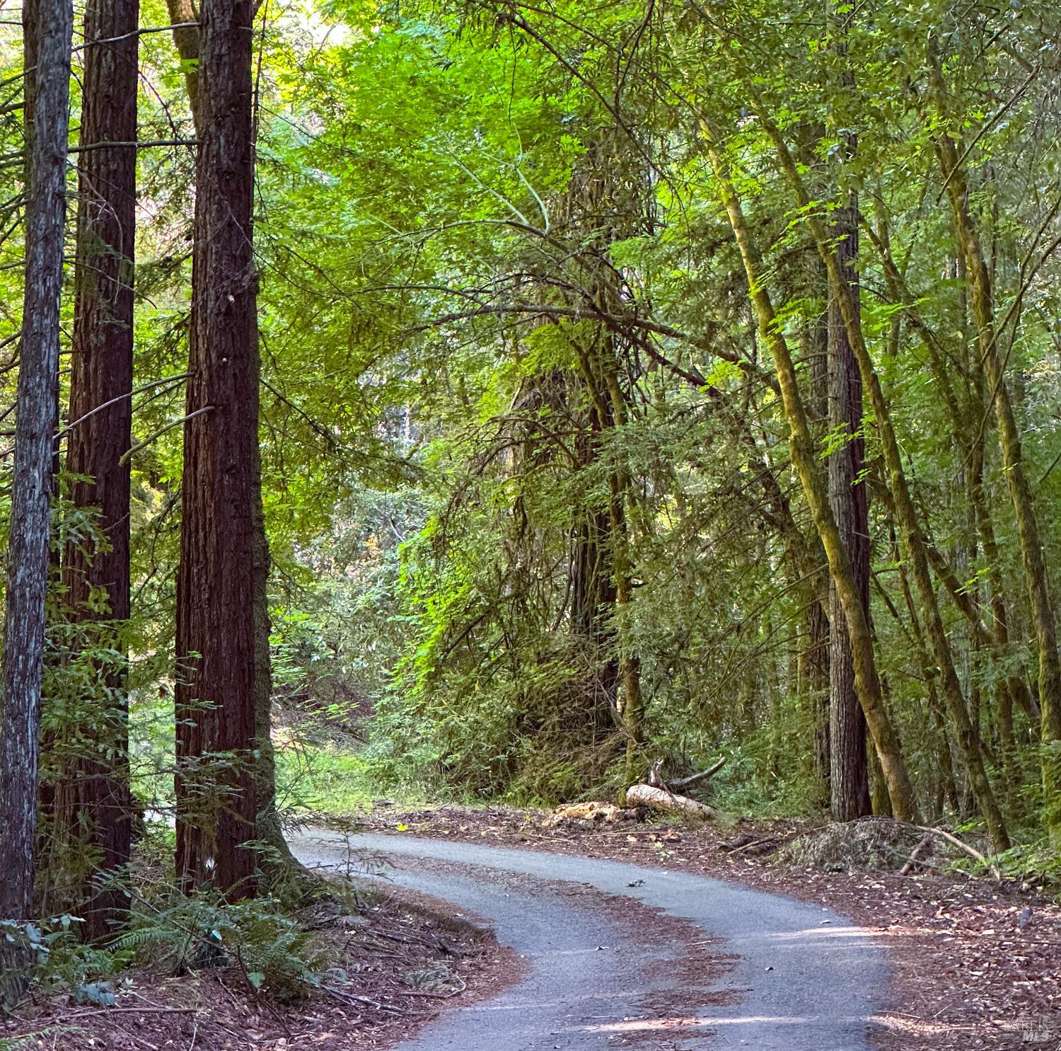 Detail Gallery Image 3 of 13 For 3150 Mill Creek Rd, Healdsburg,  CA 95448 - 4 Beds | 2 Baths