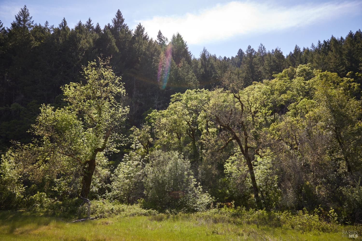 Detail Gallery Image 11 of 22 For 10850 Tomki Rd, Redwood Valley,  CA 95470 - – Beds | – Baths