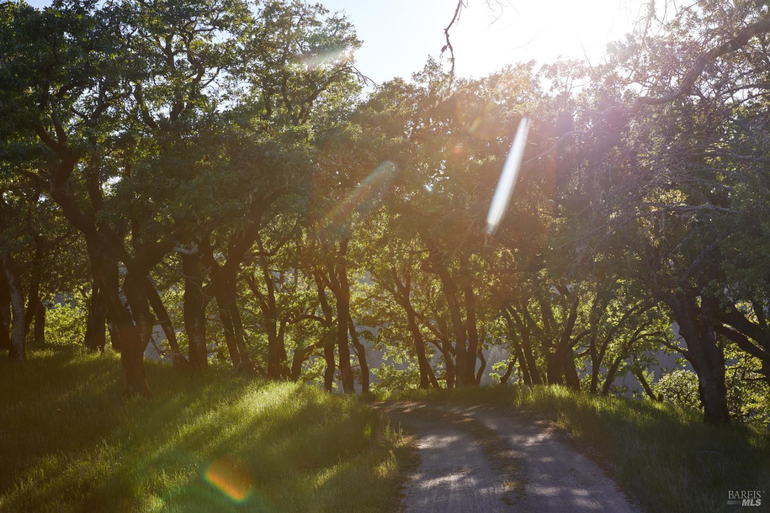 Search Homes for Rent