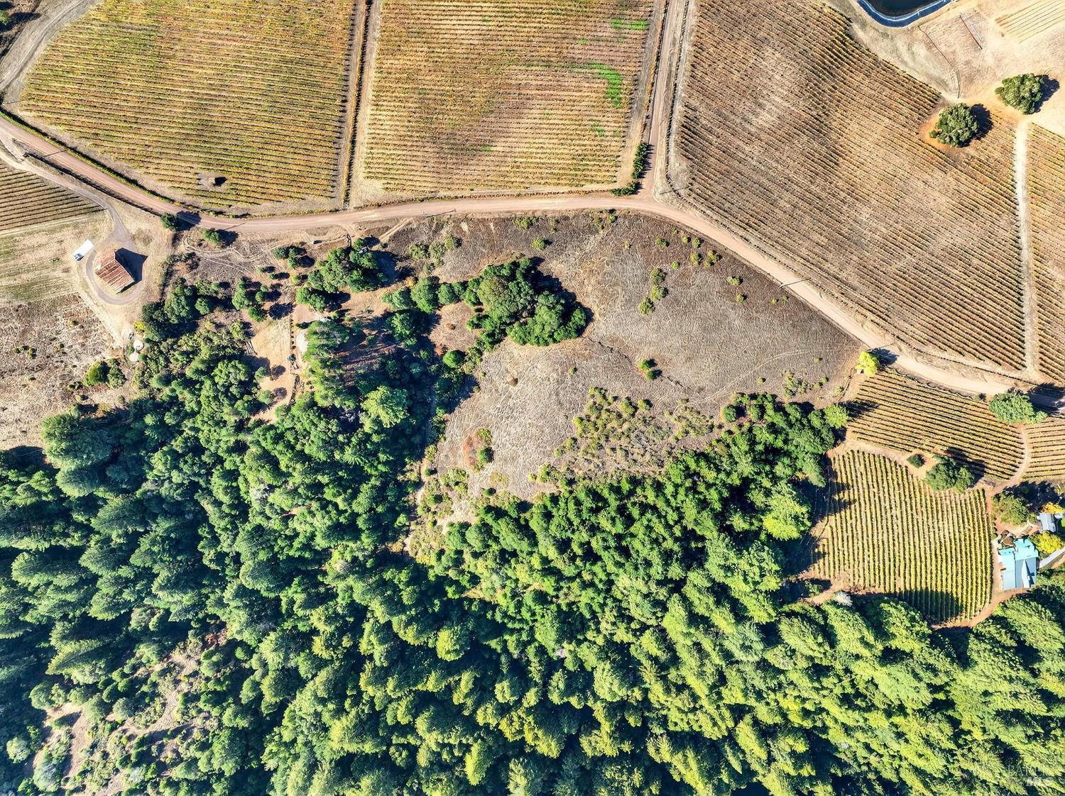 Detail Gallery Image 5 of 57 For 2333 Guntley Rd, Philo,  CA 95466 - 4 Beds | 2 Baths