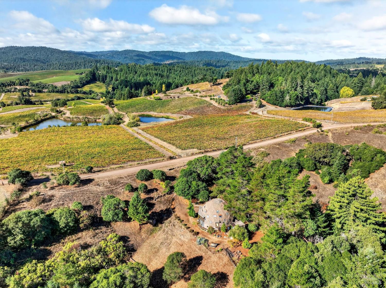 Detail Gallery Image 2 of 57 For 2333 Guntley Rd, Philo,  CA 95466 - 4 Beds | 2 Baths