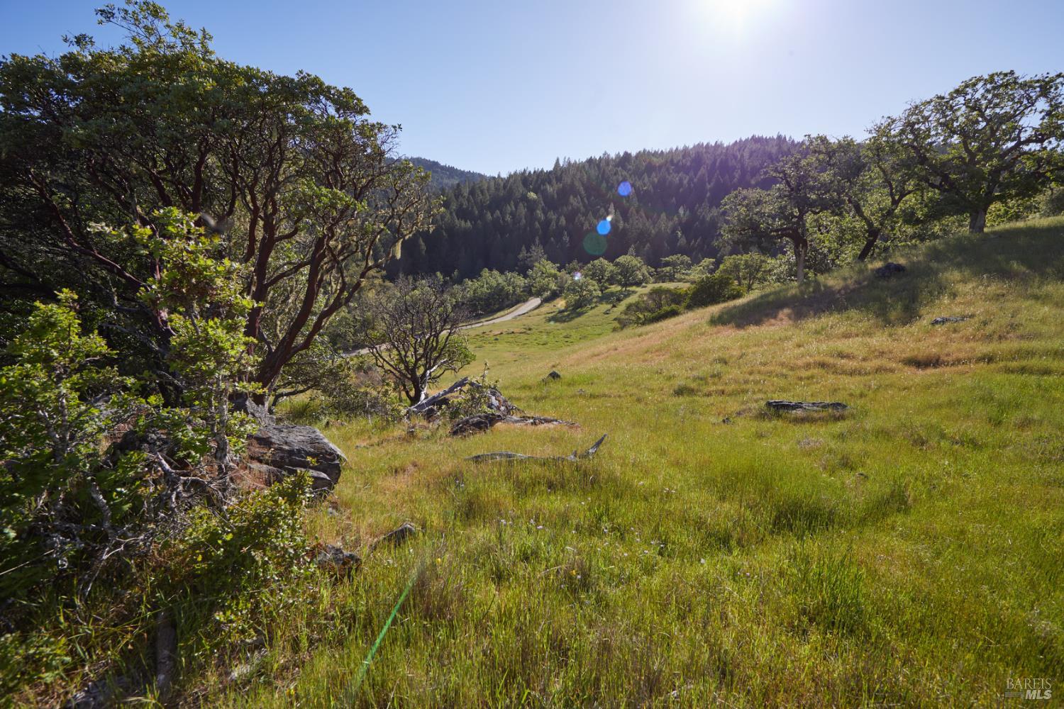 Detail Gallery Image 18 of 22 For 10850 Tomki Rd, Redwood Valley,  CA 95470 - – Beds | – Baths