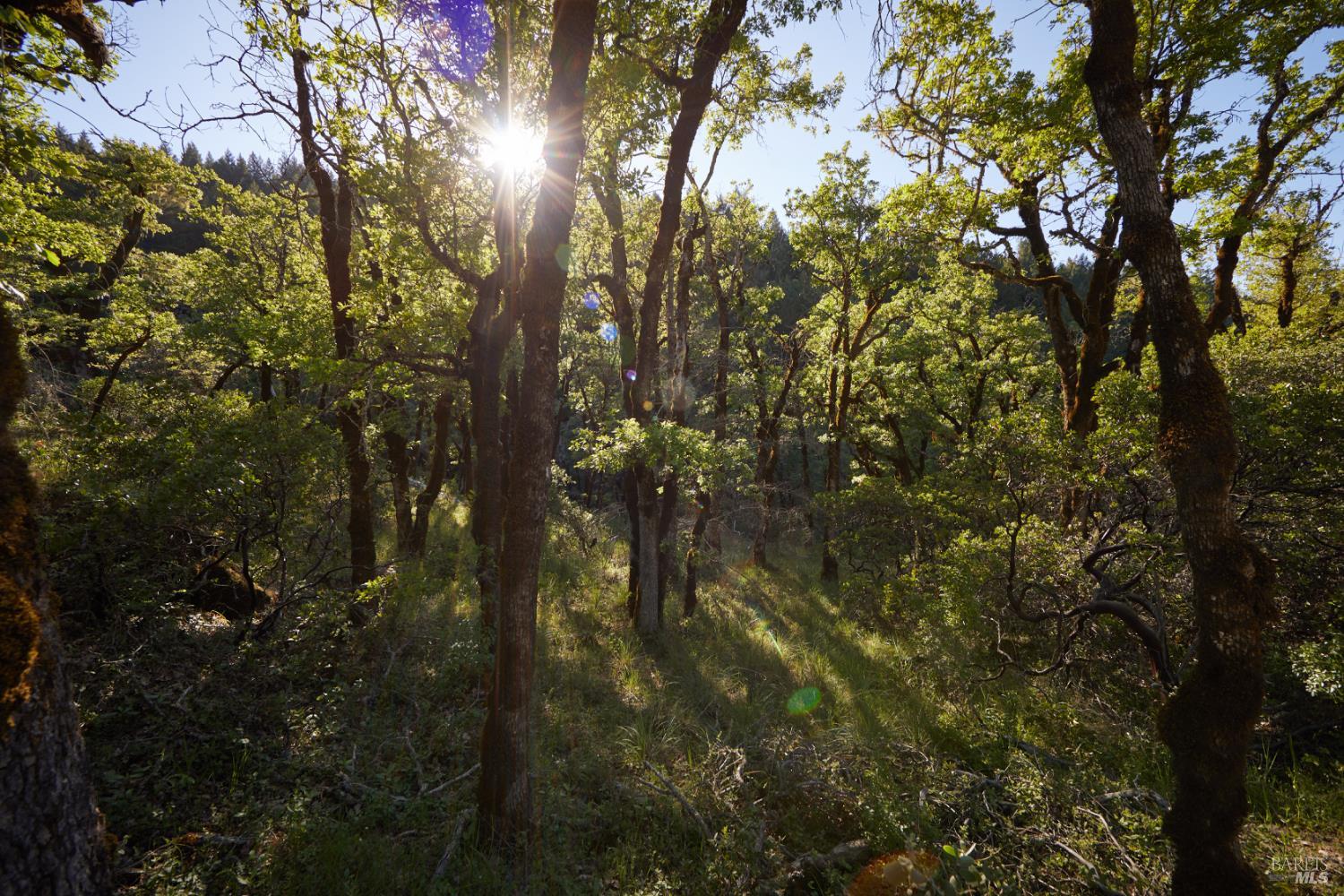 Detail Gallery Image 13 of 22 For 10850 Tomki Rd, Redwood Valley,  CA 95470 - – Beds | – Baths