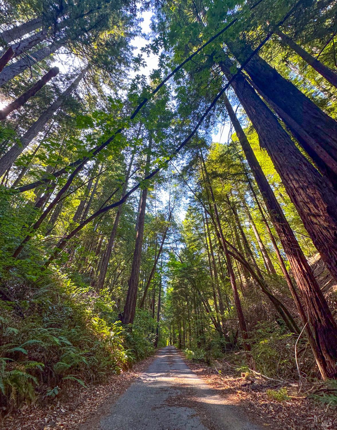 Detail Gallery Image 10 of 13 For 3150 Mill Creek Rd, Healdsburg,  CA 95448 - 4 Beds | 2 Baths