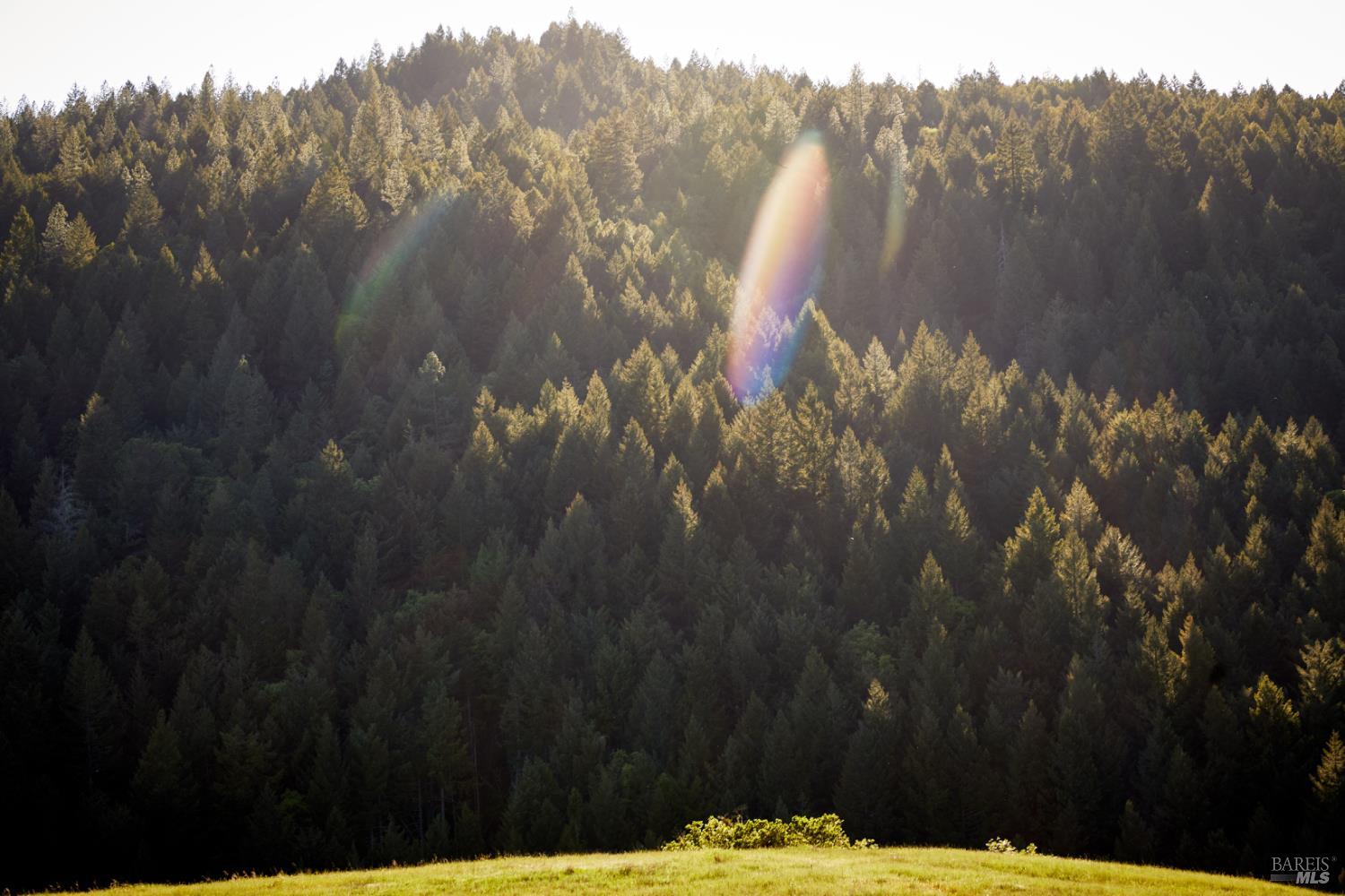 Detail Gallery Image 21 of 22 For 10850 Tomki Rd, Redwood Valley,  CA 95470 - – Beds | – Baths