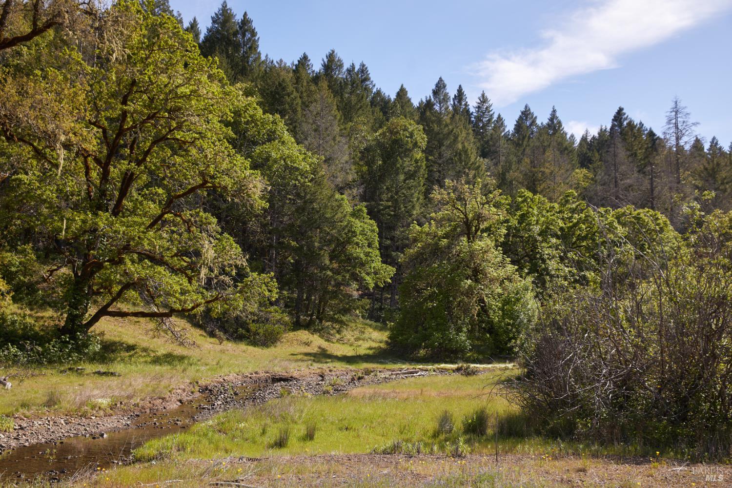 Detail Gallery Image 3 of 22 For 10850 Tomki Rd, Redwood Valley,  CA 95470 - – Beds | – Baths