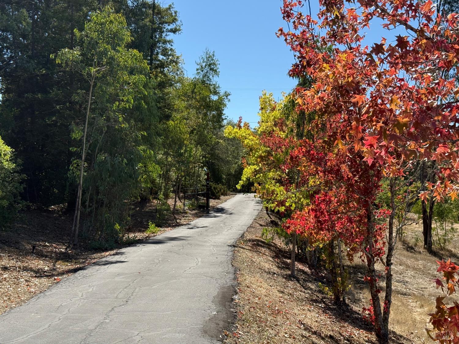 Detail Gallery Image 37 of 46 For 1676 Chiquita Rd, Healdsburg,  CA 95448 - 3 Beds | 2/1 Baths