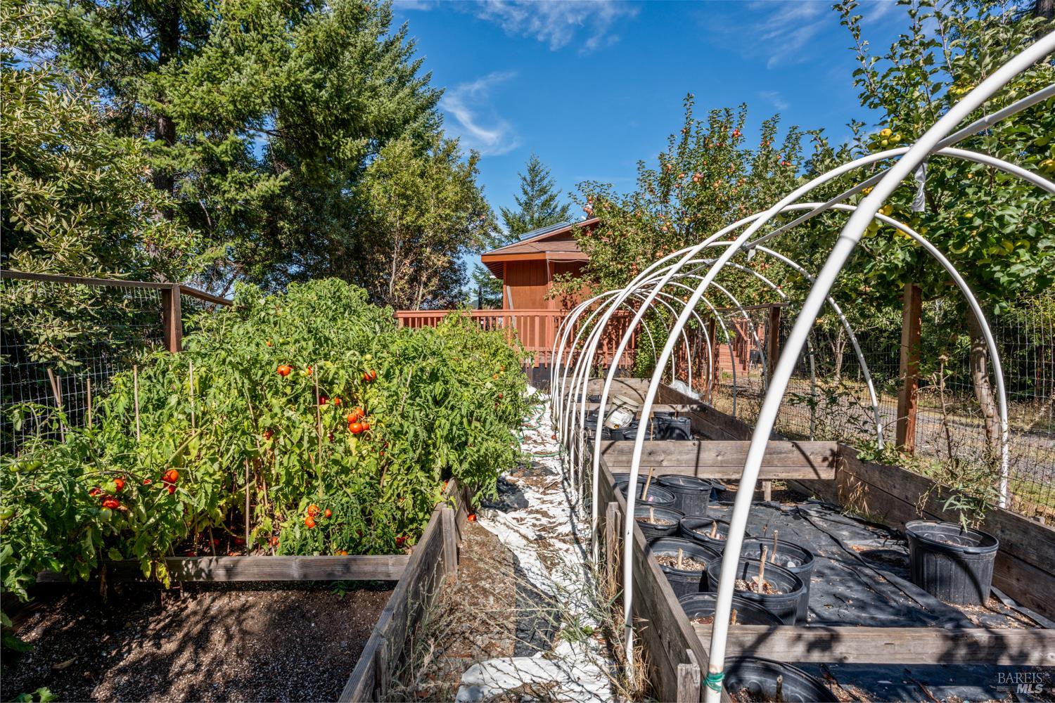 Detail Gallery Image 2 of 23 For 16460 Walker Lake Rd, Willits,  CA 95490 - 3 Beds | 1 Baths