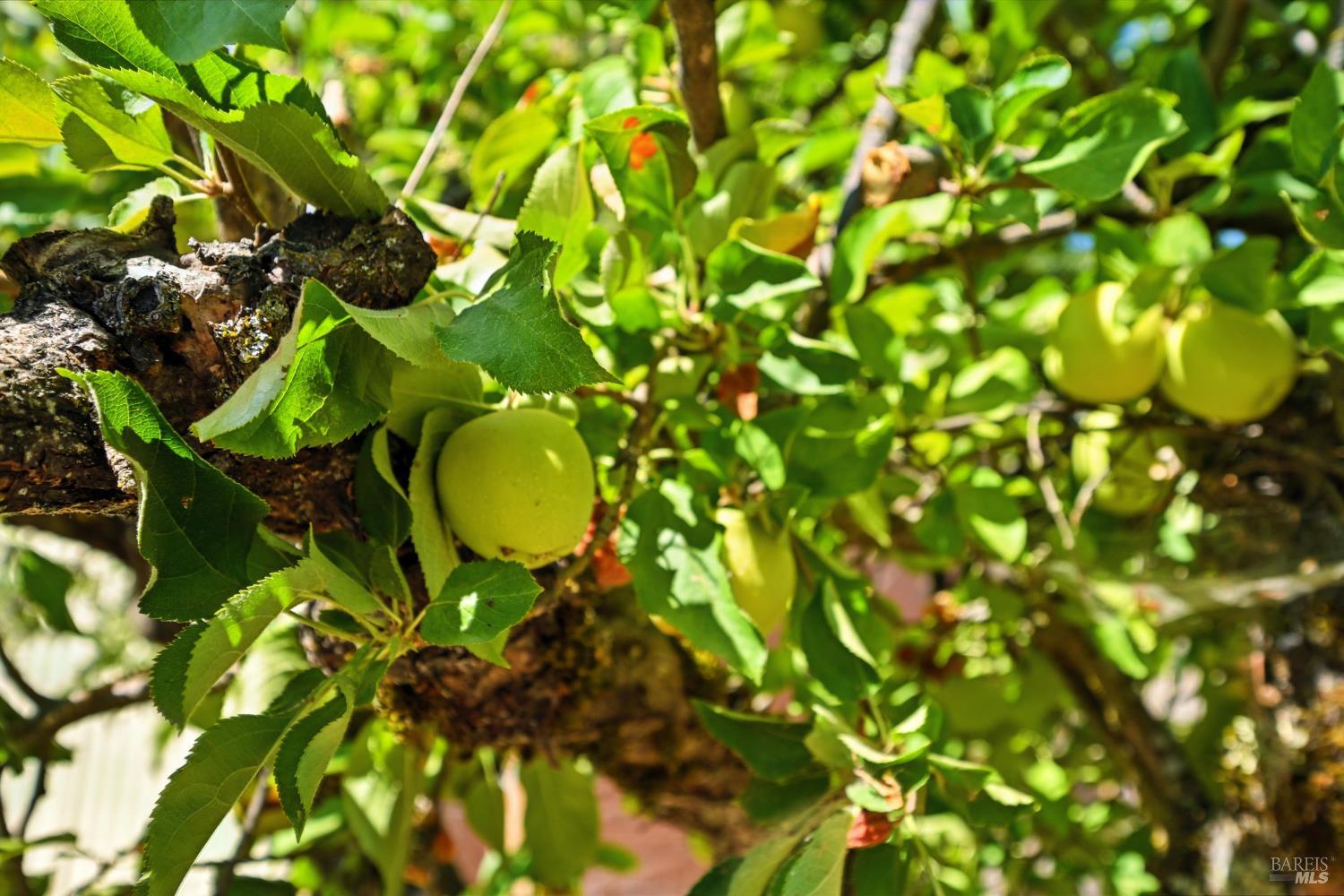 Detail Gallery Image 33 of 39 For 4397 Country Club Dr, Lucerne,  CA 95458 - 4 Beds | 2 Baths