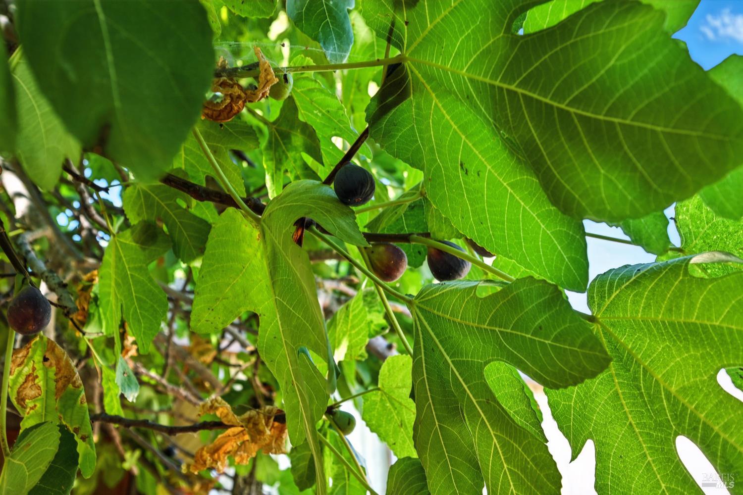 Detail Gallery Image 35 of 39 For 4397 Country Club Dr, Lucerne,  CA 95458 - 4 Beds | 2 Baths