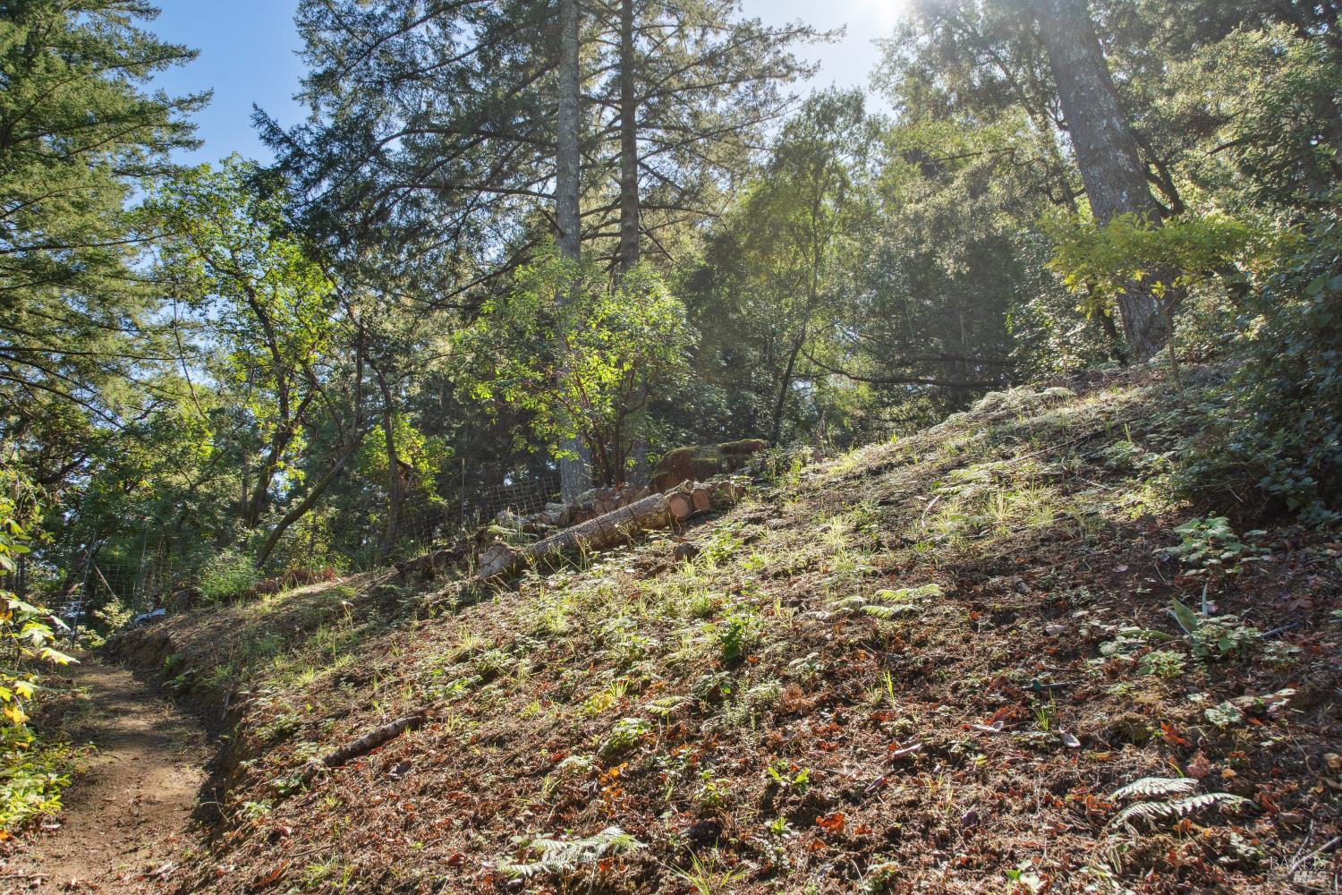 Detail Gallery Image 33 of 39 For 1 Tamarack Rd #B,  San Geronimo,  CA 94963 - 3 Beds | 2 Baths