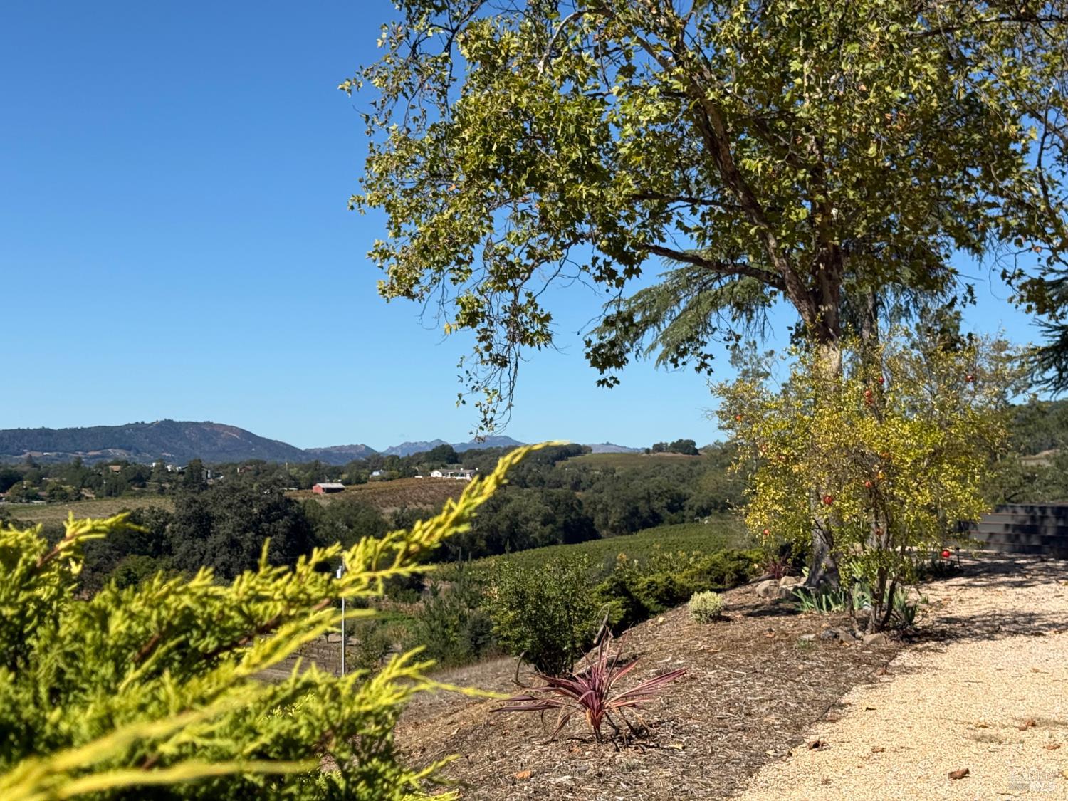 Detail Gallery Image 12 of 46 For 1676 Chiquita Rd, Healdsburg,  CA 95448 - 3 Beds | 2/1 Baths