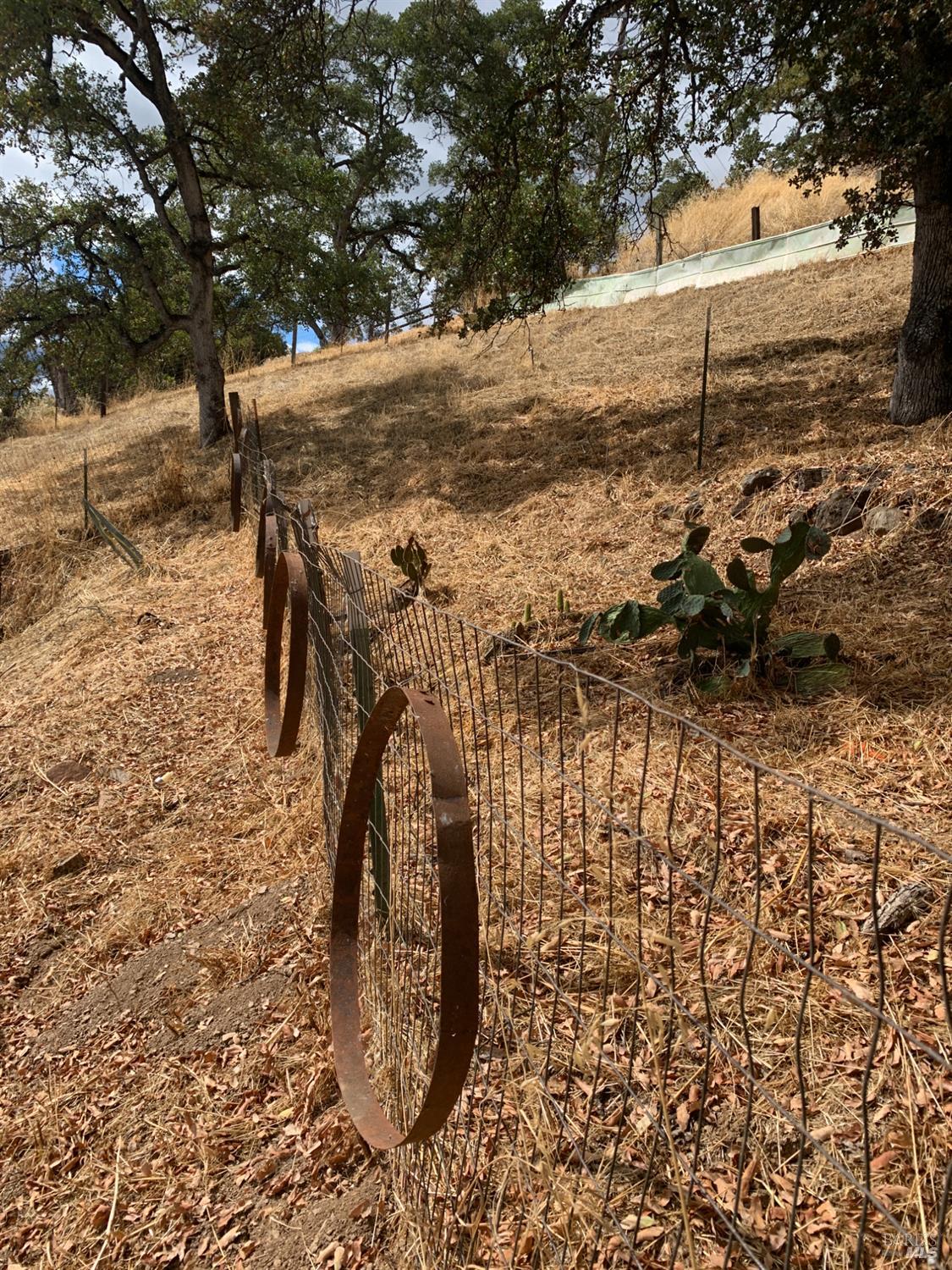 Detail Gallery Image 64 of 67 For 12140 E Highway 20 Hwy, Clearlake Oaks,  CA 95423 - 2 Beds | 2 Baths