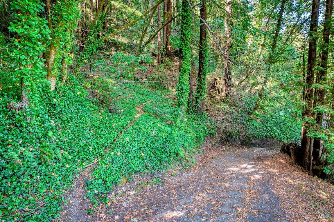 Detail Gallery Image 43 of 44 For 21684 Starrett Hill Dr, Monte Rio,  CA 95462 - 3 Beds | 1 Baths