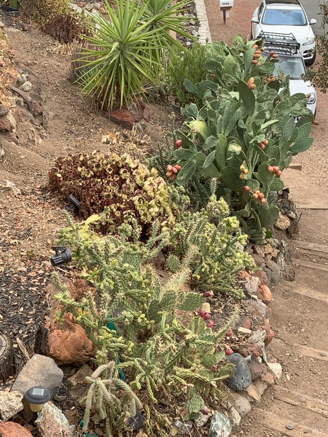 Detail Gallery Image 21 of 67 For 12140 E Highway 20 Hwy, Clearlake Oaks,  CA 95423 - 2 Beds | 2 Baths