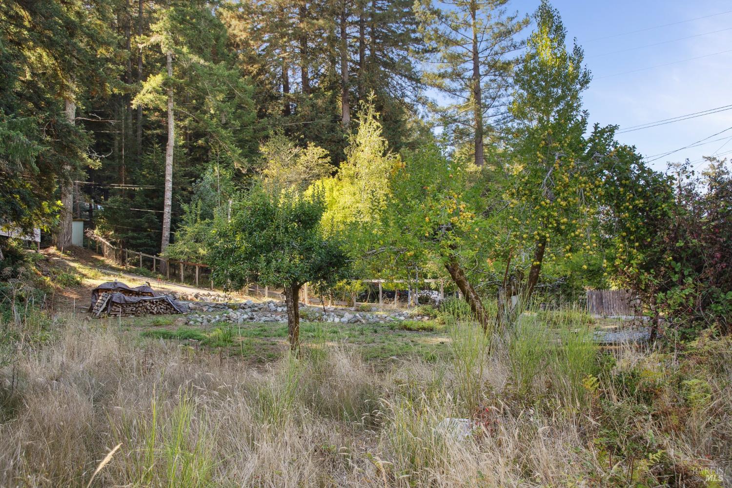 Detail Gallery Image 34 of 39 For 1 Tamarack Rd #B,  San Geronimo,  CA 94963 - 3 Beds | 2 Baths