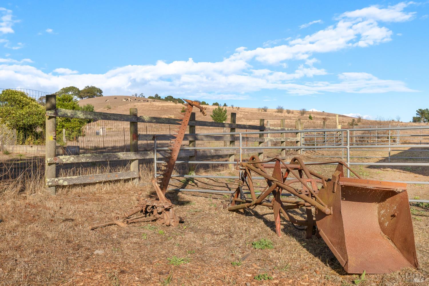 Detail Gallery Image 56 of 61 For 13881 Bodega Hwy, Sebastopol,  CA 95472 - 3 Beds | 3 Baths