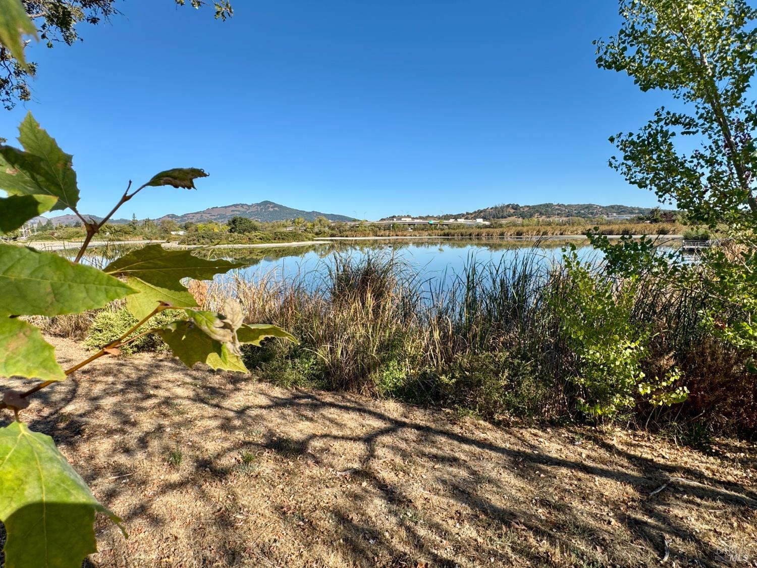 Detail Gallery Image 63 of 65 For 58 Scottsdale Way, Novato,  CA 94945 - 2 Beds | 1/1 Baths