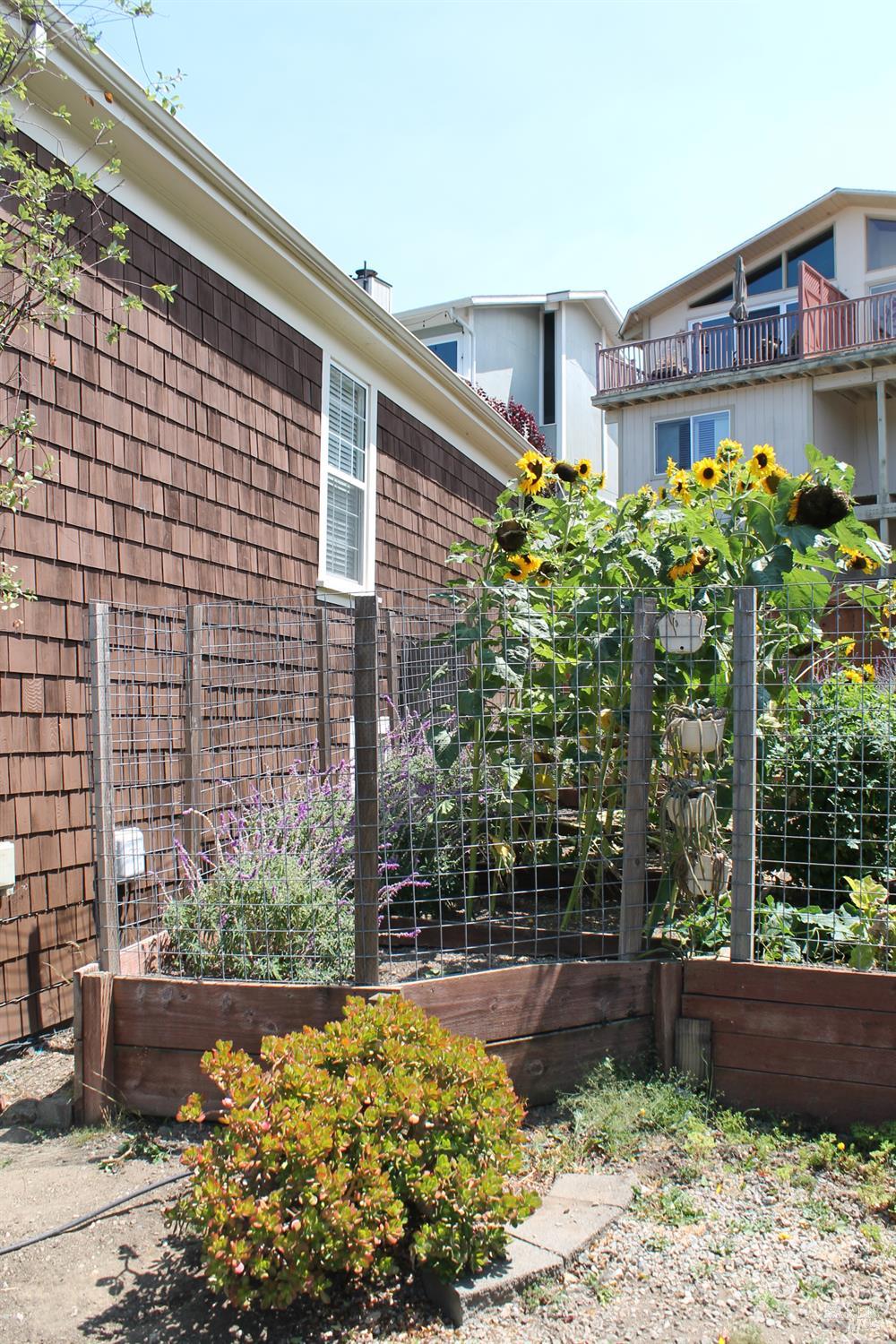 Detail Gallery Image 9 of 25 For 689 Butte St, Sausalito,  CA 94965 - 2 Beds | 1 Baths