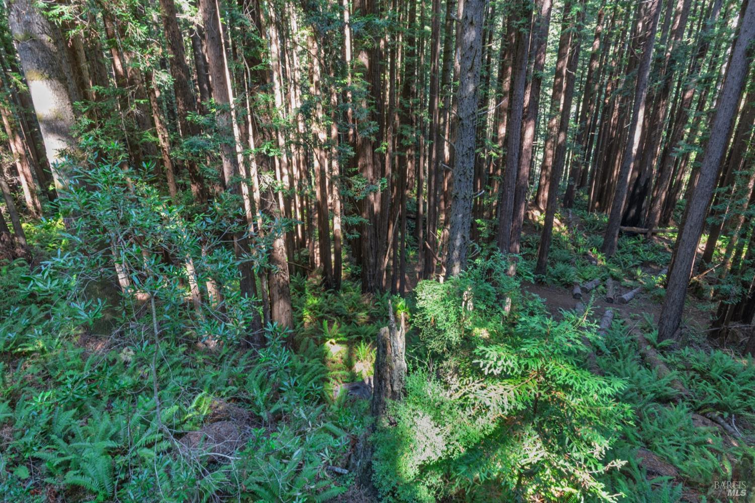 Detail Gallery Image 24 of 34 For 1101 River Beach Rd, The Sea Ranch,  CA 95497 - 2 Beds | 2 Baths