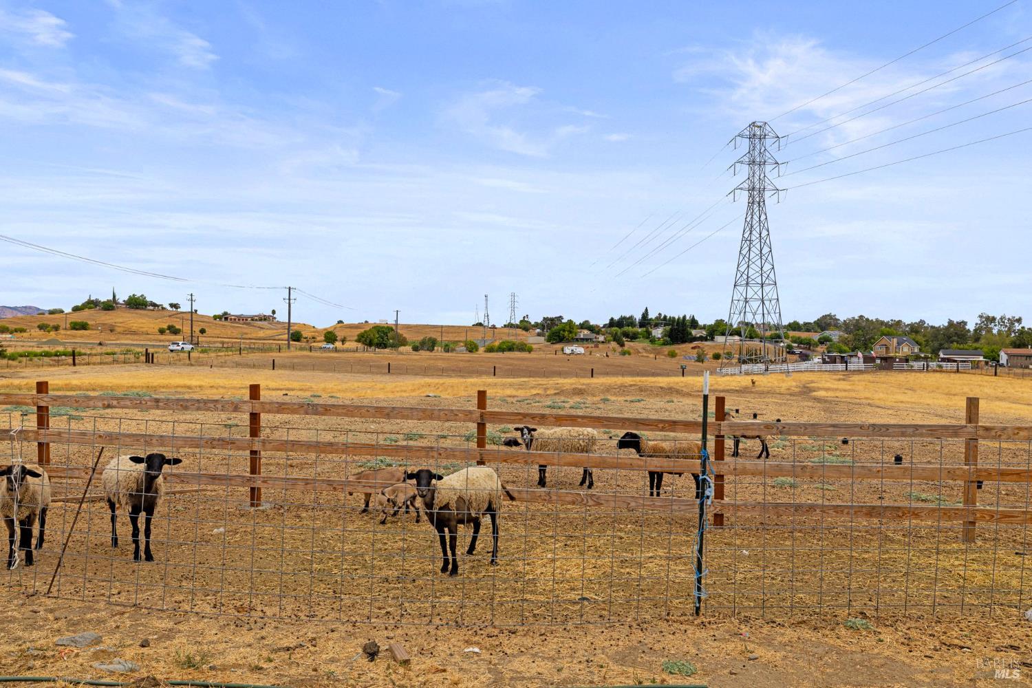 Detail Gallery Image 44 of 56 For 4203 Independence Ln, Vacaville,  CA 95688 - 3 Beds | 2 Baths