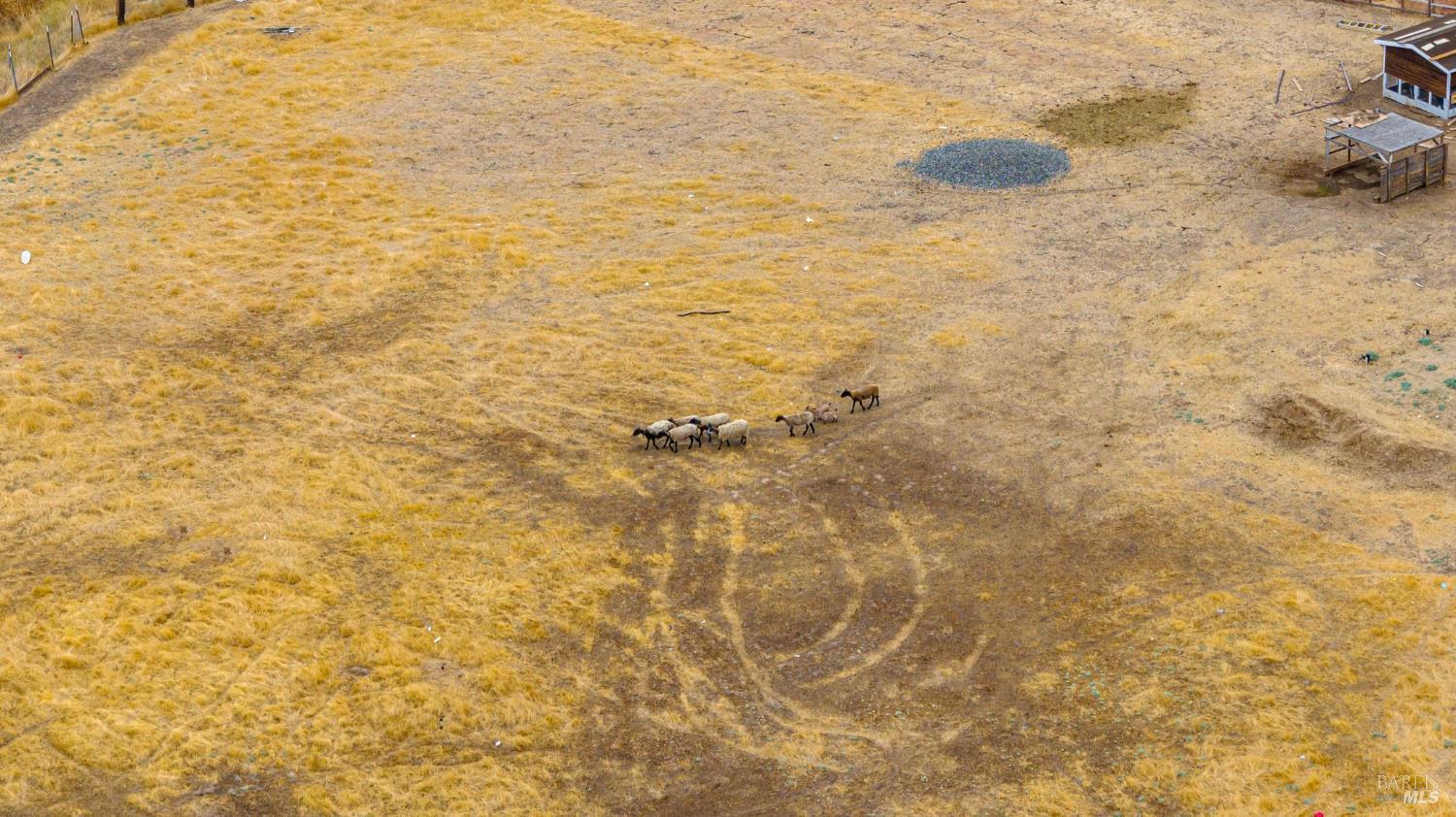 Detail Gallery Image 56 of 56 For 4203 Independence Ln, Vacaville,  CA 95688 - 3 Beds | 2 Baths