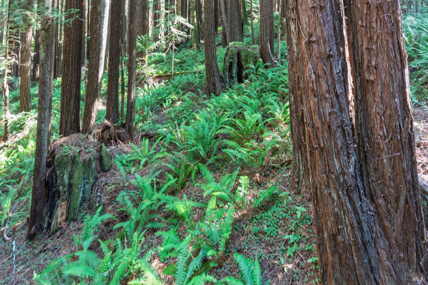 Detail Gallery Image 23 of 34 For 1101 River Beach Rd, The Sea Ranch,  CA 95497 - 2 Beds | 2 Baths