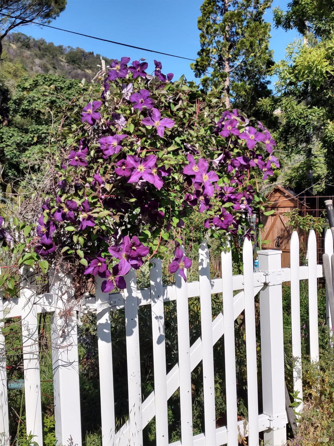 Detail Gallery Image 65 of 66 For 6 Blackwood Ct, Napa,  CA 94558 - 3 Beds | 2 Baths