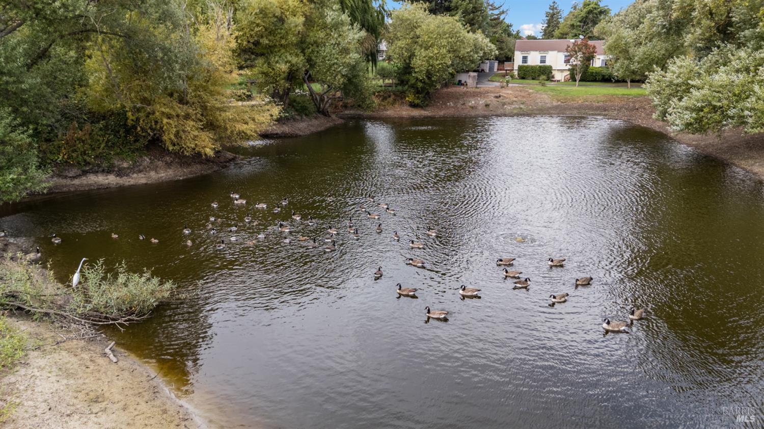 Detail Gallery Image 6 of 51 For 509 Rainsville Rd, Petaluma,  CA 94952 - 4 Beds | 2 Baths