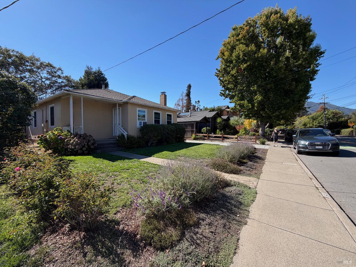 Detail Gallery Image 10 of 19 For 324 Sycamore Ave, Mill Valley,  CA 94941 - 3 Beds | 1 Baths