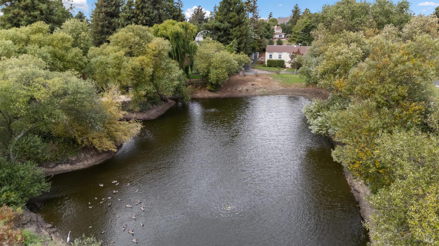 Detail Gallery Image 47 of 51 For 509 Rainsville Rd, Petaluma,  CA 94952 - 4 Beds | 2 Baths