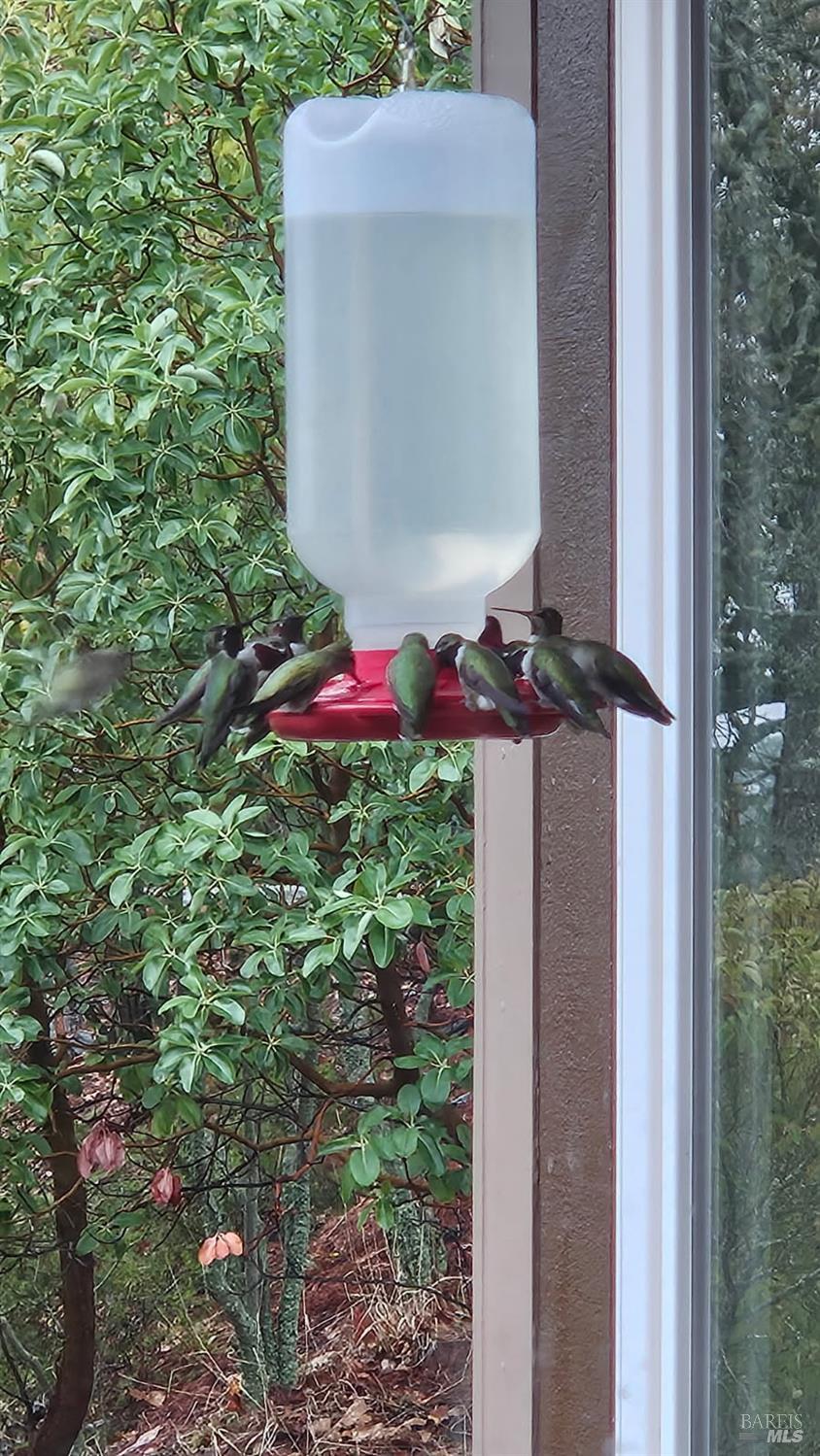 Detail Gallery Image 62 of 66 For 6 Blackwood Ct, Napa,  CA 94558 - 3 Beds | 2 Baths