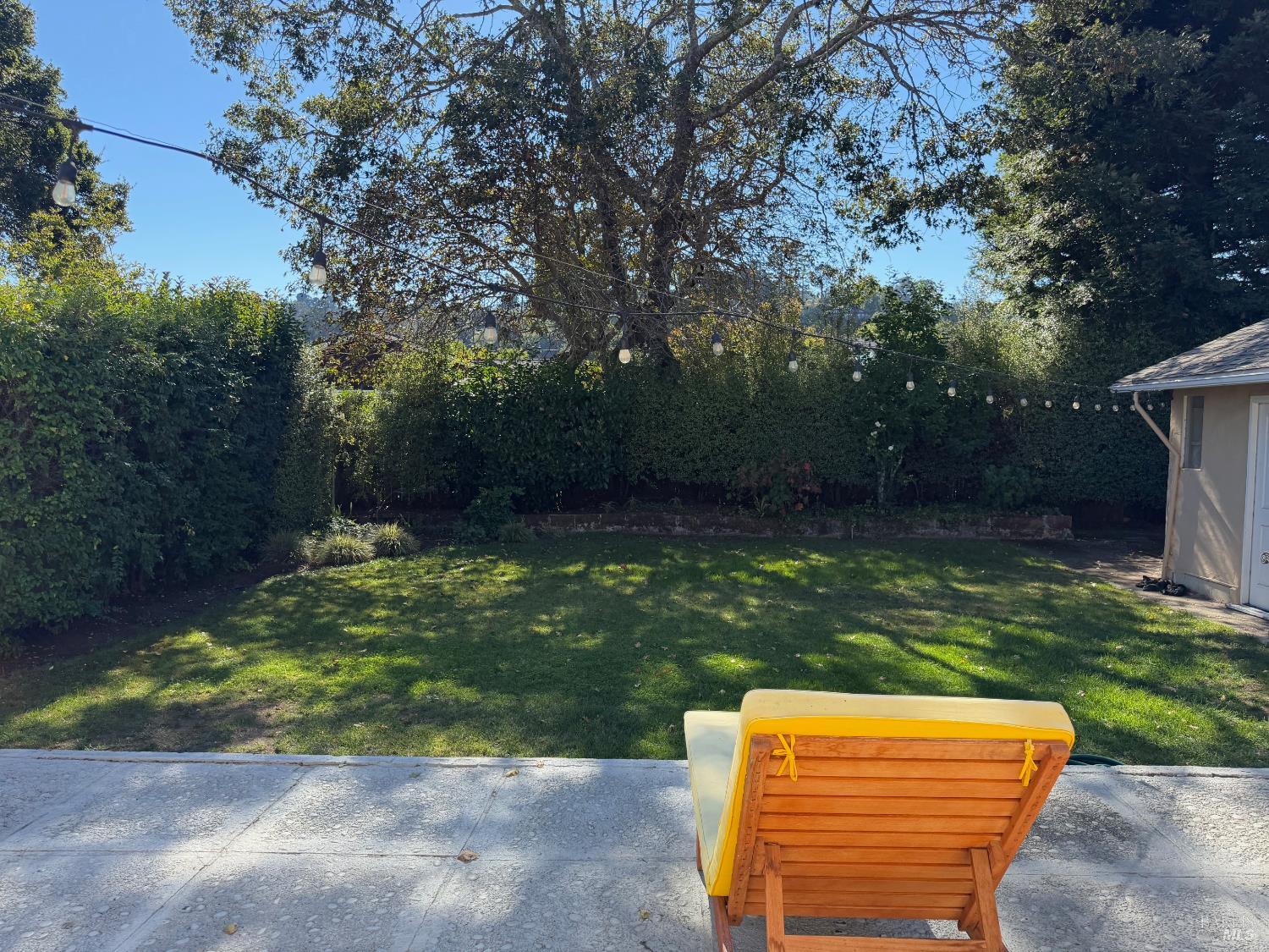 Detail Gallery Image 6 of 19 For 324 Sycamore Ave, Mill Valley,  CA 94941 - 3 Beds | 1 Baths