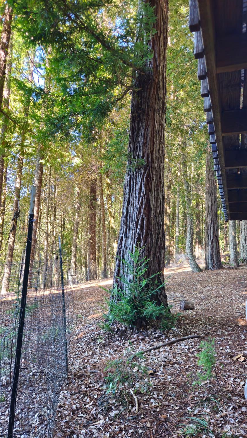 Detail Gallery Image 29 of 30 For 4020 Ridge Cir, Willits,  CA 95490 - 3 Beds | 2 Baths