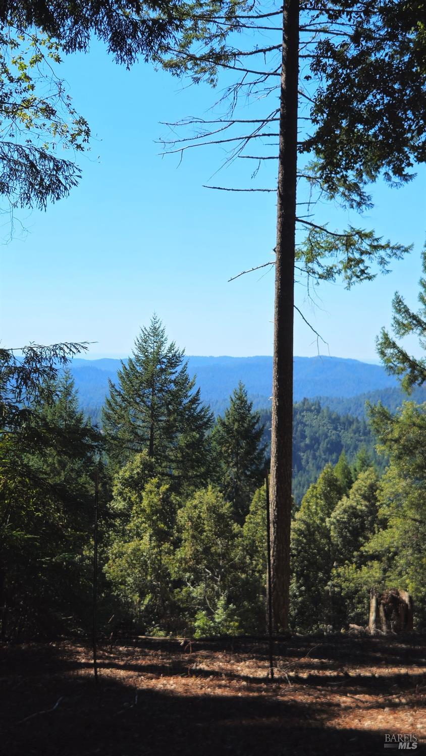 Detail Gallery Image 28 of 30 For 4020 Ridge Cir, Willits,  CA 95490 - 3 Beds | 2 Baths