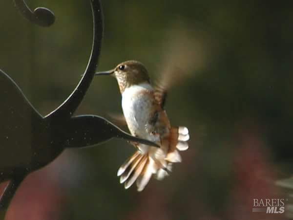 Detail Gallery Image 61 of 66 For 6 Blackwood Ct, Napa,  CA 94558 - 3 Beds | 2 Baths