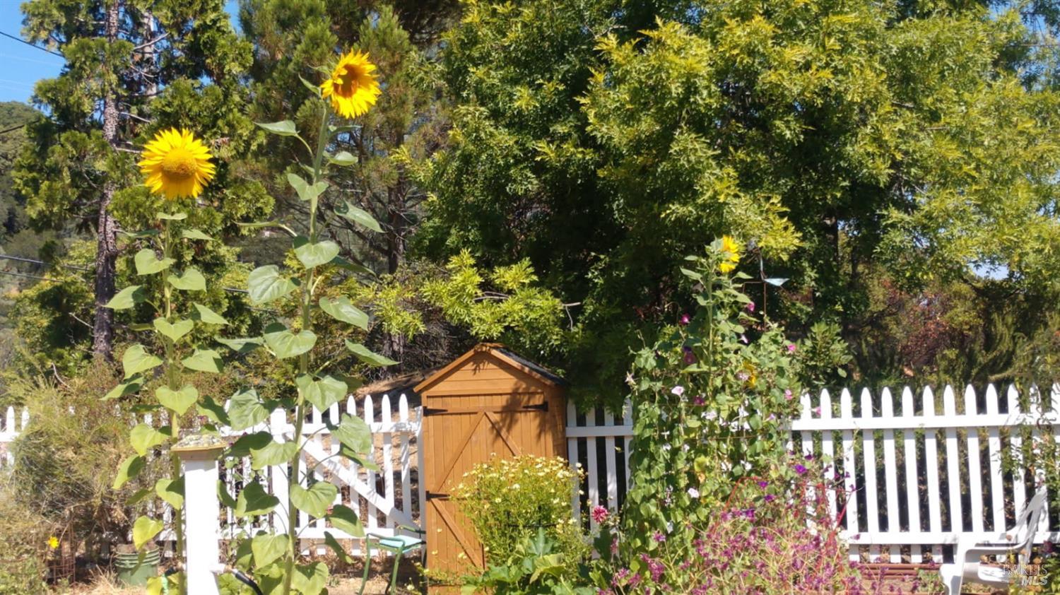 Detail Gallery Image 64 of 66 For 6 Blackwood Ct, Napa,  CA 94558 - 3 Beds | 2 Baths