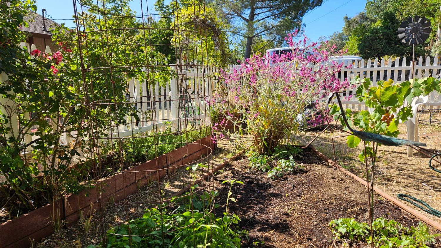 Detail Gallery Image 58 of 66 For 6 Blackwood Ct, Napa,  CA 94558 - 3 Beds | 2 Baths