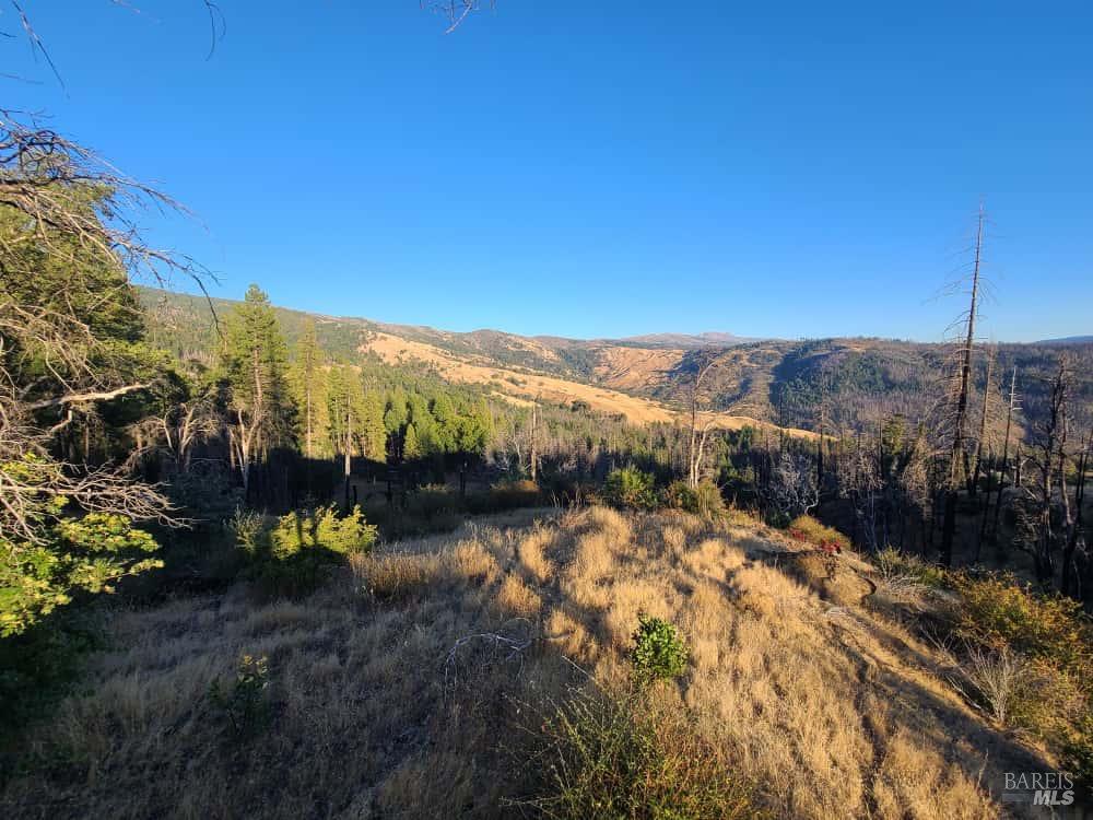 Detail Gallery Image 38 of 44 For 41390 Mendocino Pass Rd, Covelo,  CA 95428 - 1 Beds | 1 Baths