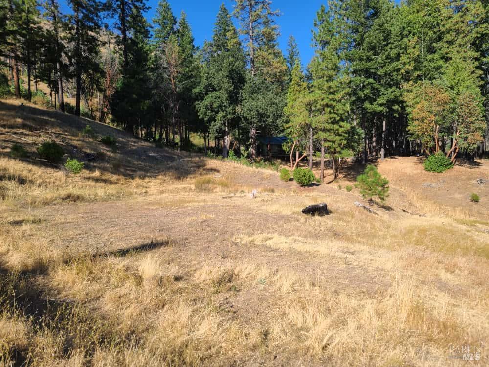 Detail Gallery Image 6 of 44 For 41390 Mendocino Pass Rd, Covelo,  CA 95428 - 1 Beds | 1 Baths