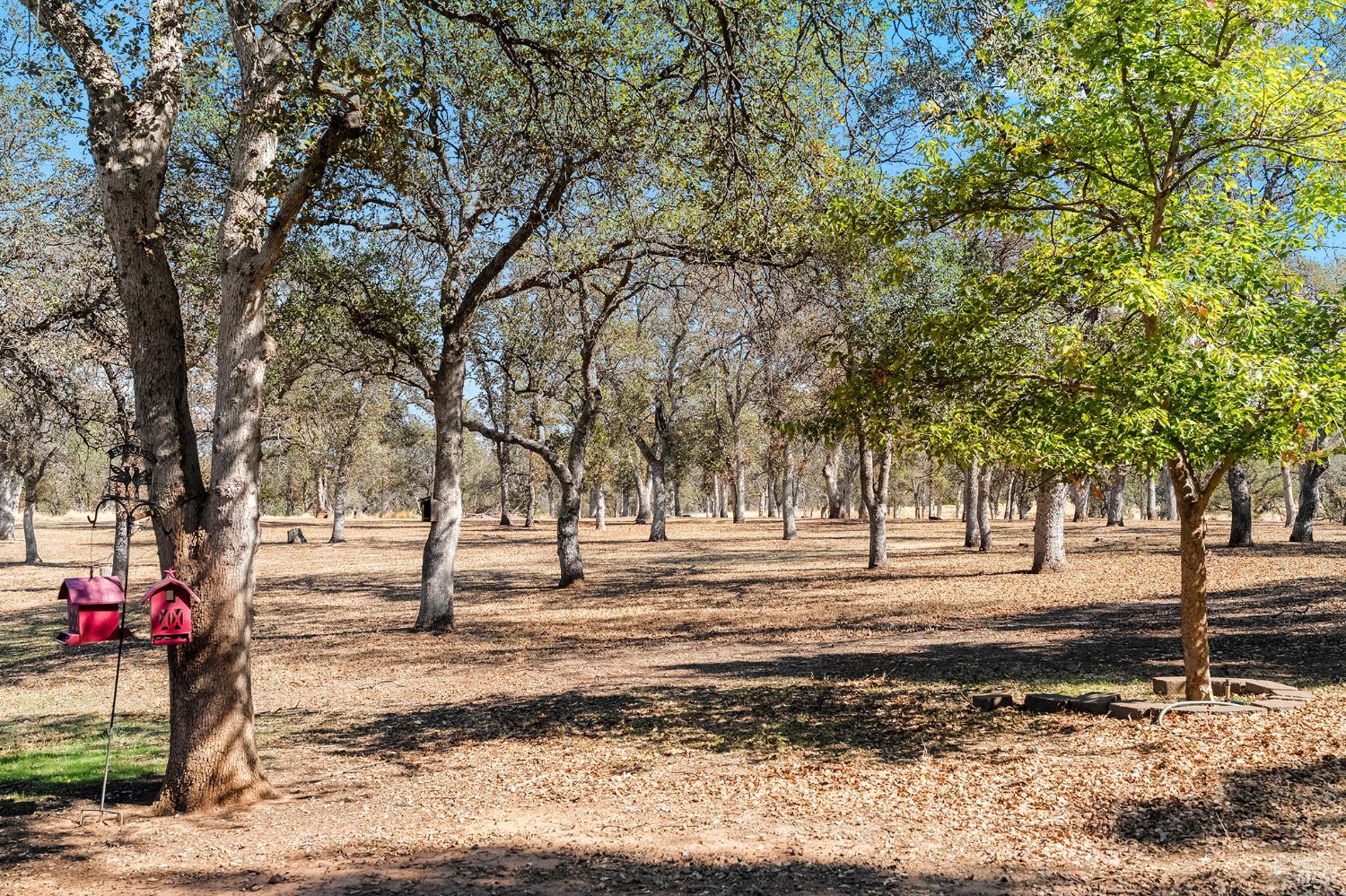 Detail Gallery Image 35 of 52 For 14420 Mesa Ct, Red Bluff,  CA 96080 - 3 Beds | 2 Baths