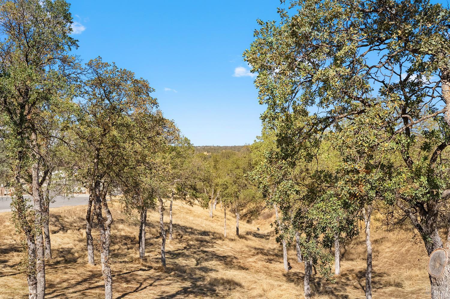 Detail Gallery Image 45 of 52 For 14420 Mesa Ct, Red Bluff,  CA 96080 - 3 Beds | 2 Baths