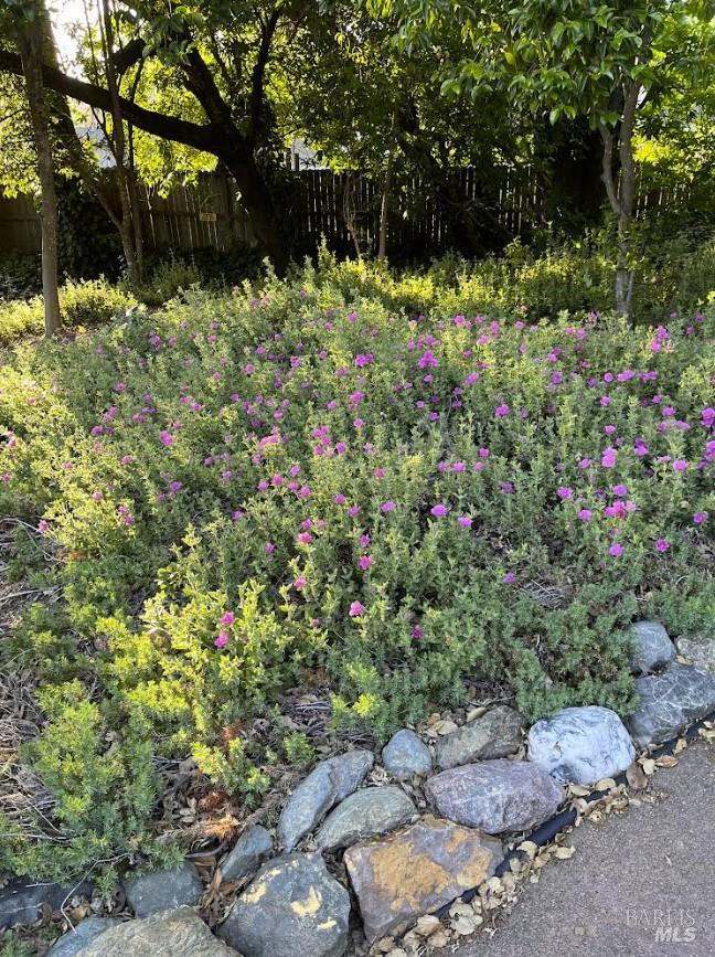 Detail Gallery Image 71 of 71 For 113 Heidi Ln, Cloverdale,  CA 95425 - 3 Beds | 2/2 Baths