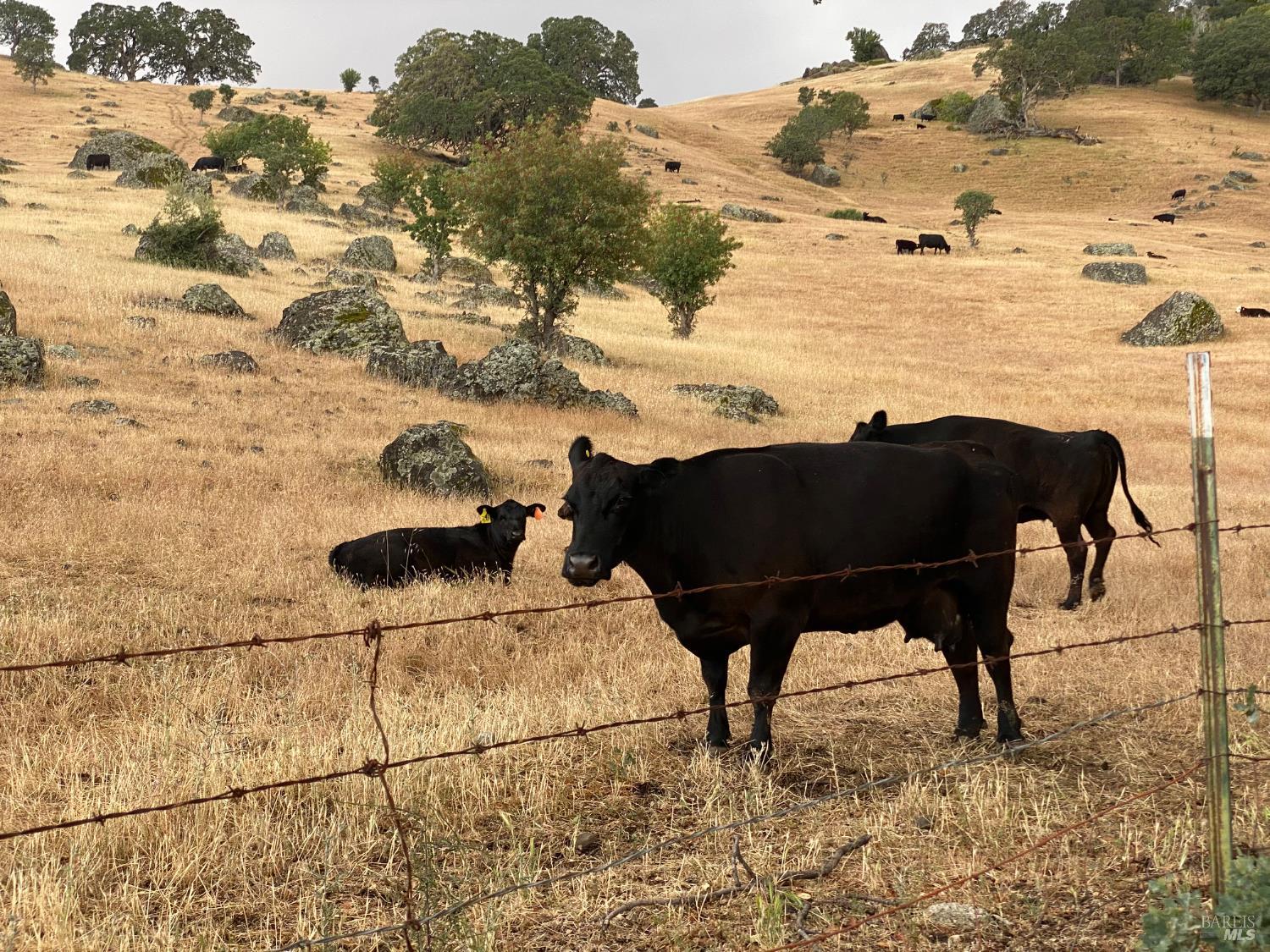 Detail Gallery Image 53 of 65 For 830 Swindon Ct, Vacaville,  CA 95688 - 4 Beds | 3 Baths